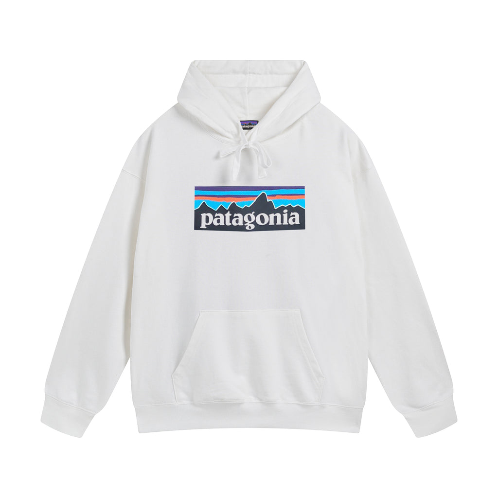 patagonia terry hoodie