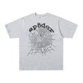 Sp5der Web Graphic T-Shirt (Grey / White )