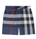 Burberry Swimming Shorts
