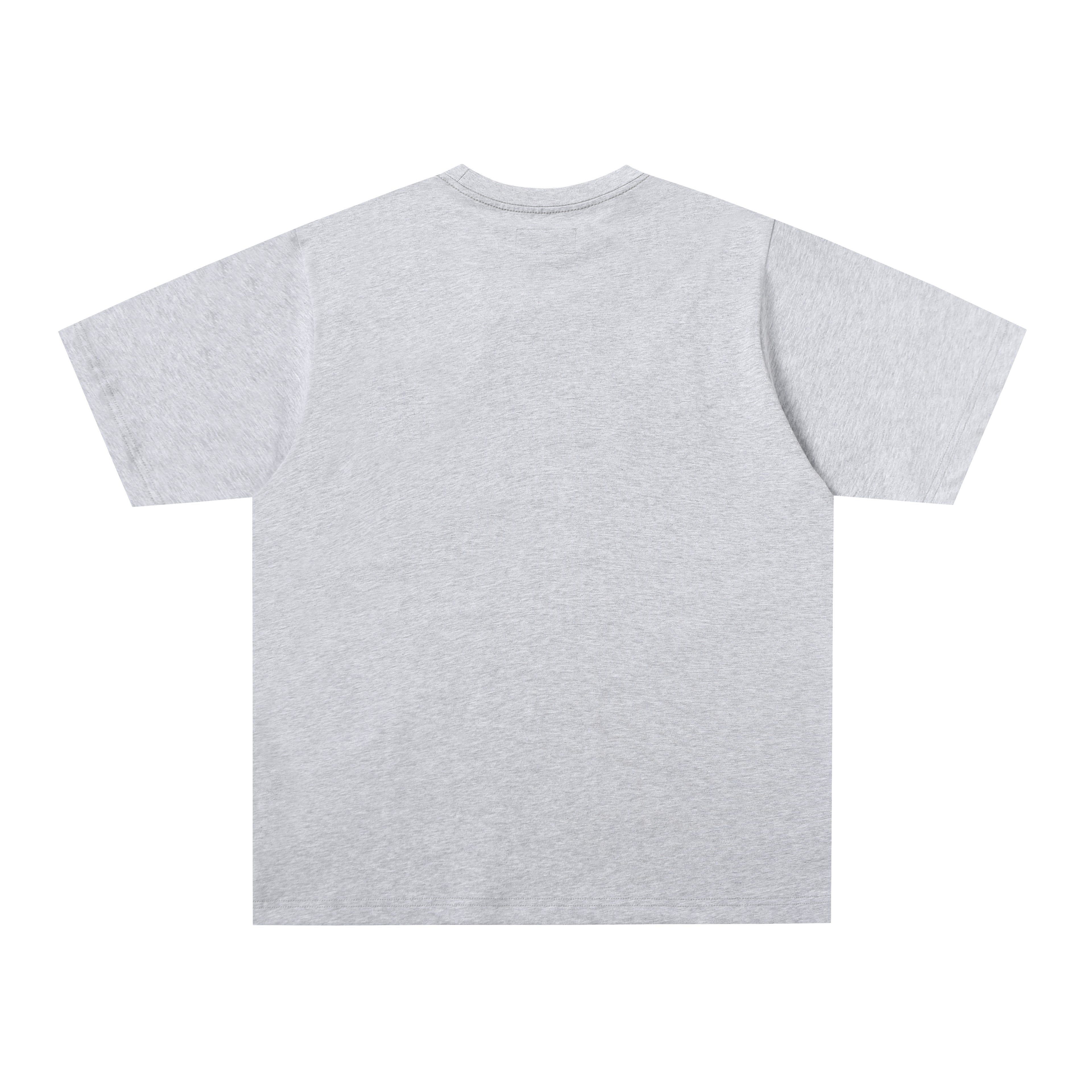 Sp5der Web Graphic T-Shirt (Grey / White )
